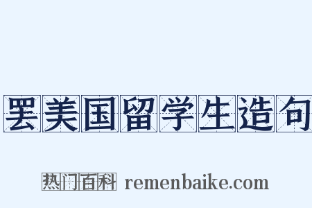 罢美国留学生造句是什么意思的图片